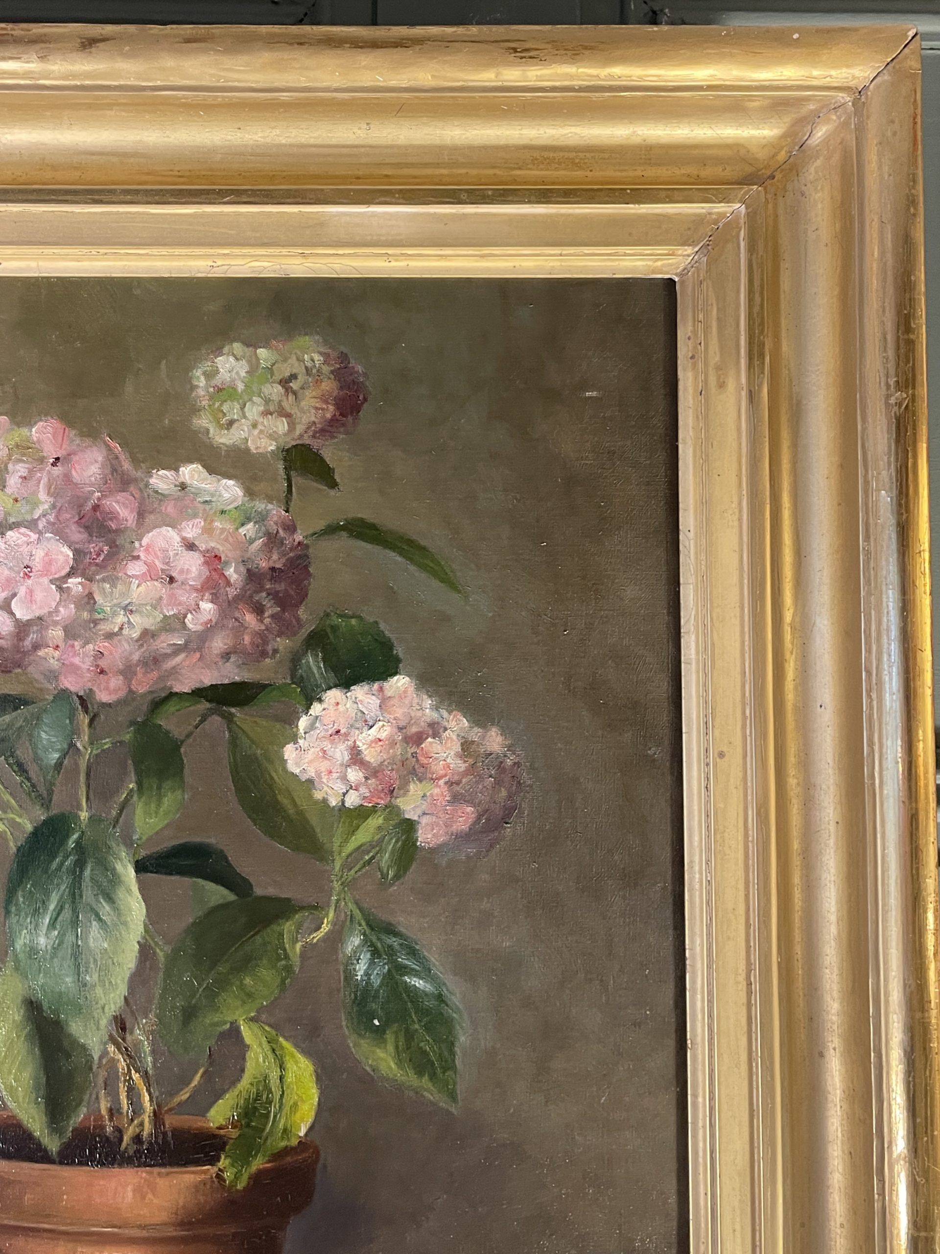 Ponvianne Antiquités hortensias 4