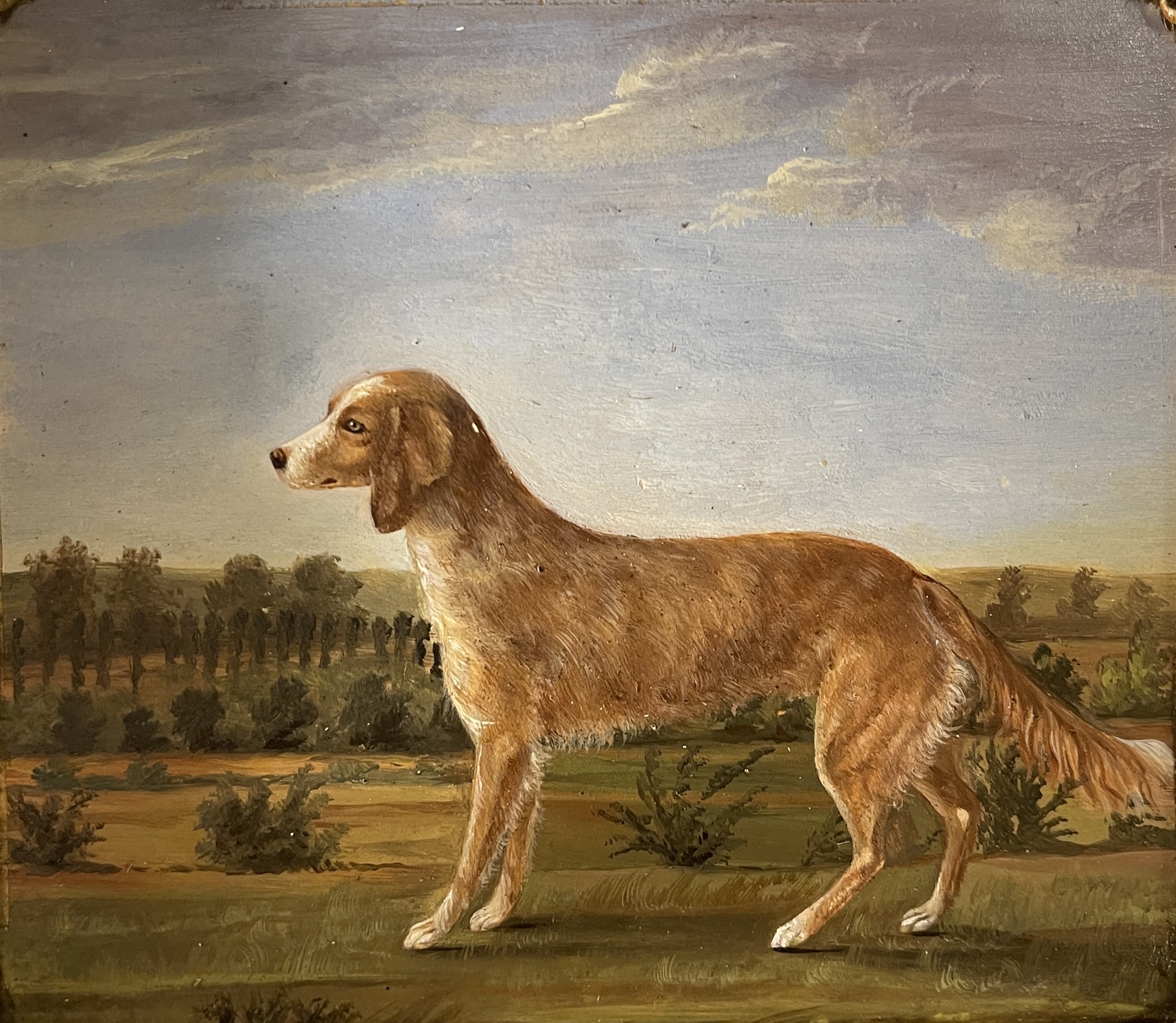 Ponvianne Antiquités portrait chien 2