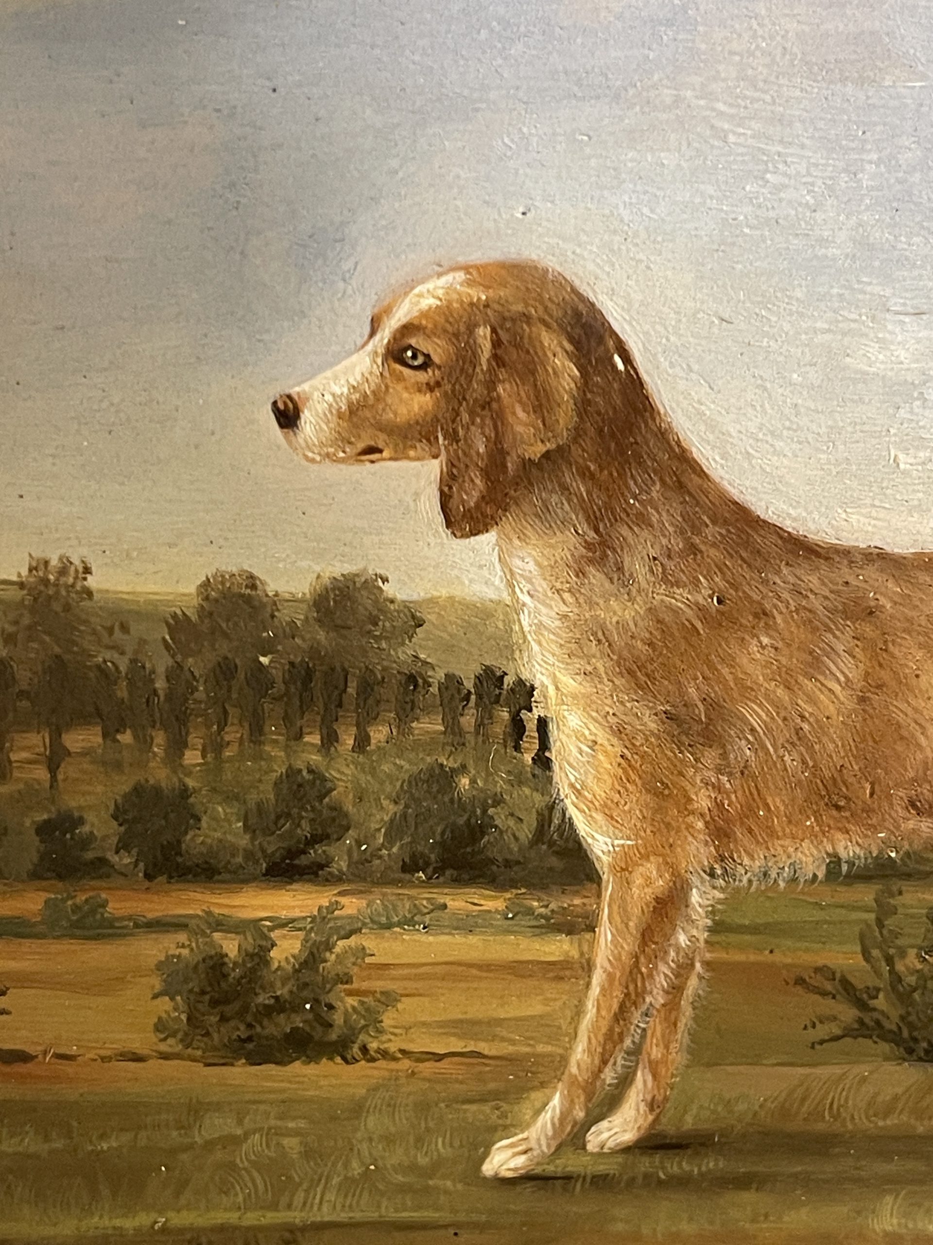 Ponvianne Antiquités portrait chien 8