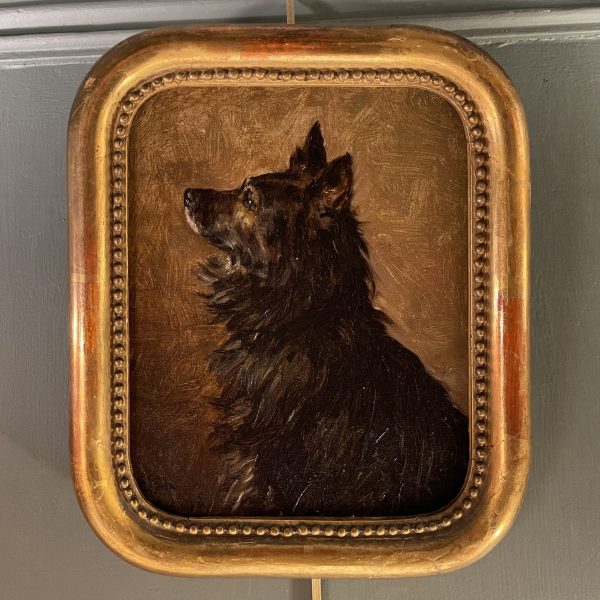 Portrait Of A Dog Dated 1895