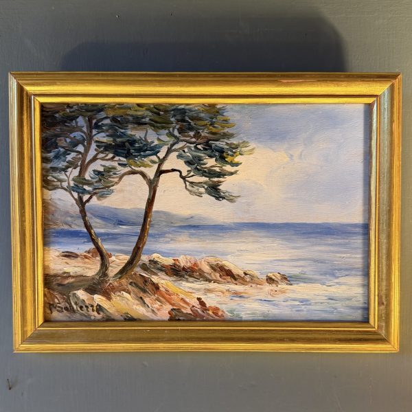 Marine, Sur la côte